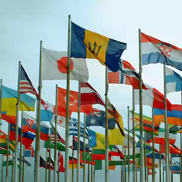 Logolu-Gonder-Bayragi4